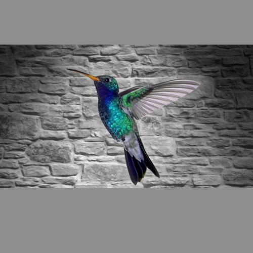 Kolibri Records